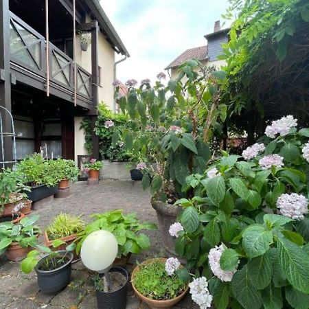 Apartment Gerberbachviertel 바인하임 외부 사진