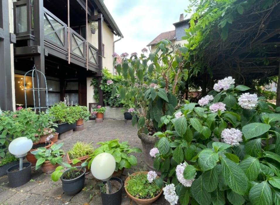 Apartment Gerberbachviertel 바인하임 외부 사진